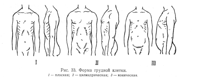 Форма грудной клетки